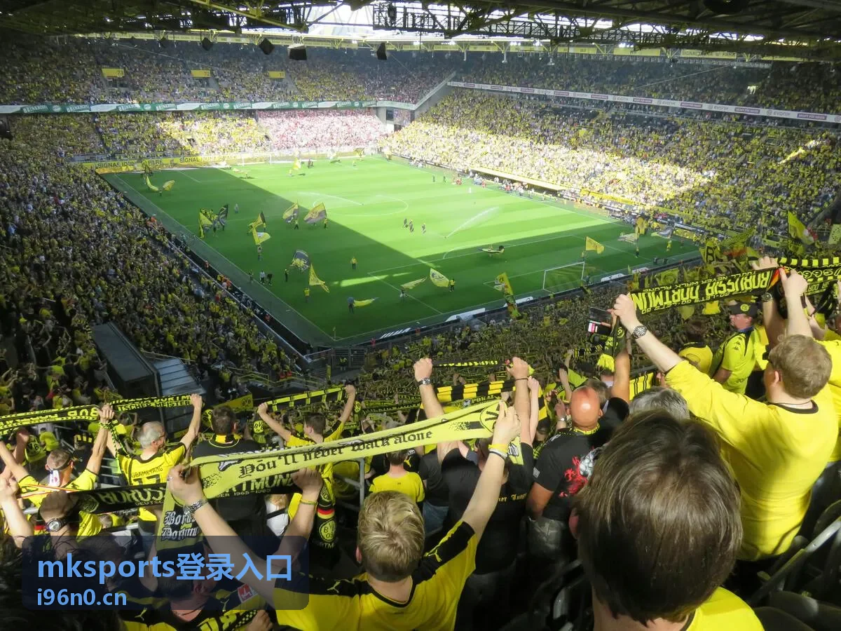 mksports登录入口夜场体育直播画面
